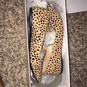 Cheetah Flats